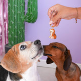 MALICIEUSE - BEAGLE Schlüsselanhänger - ROSA ECK