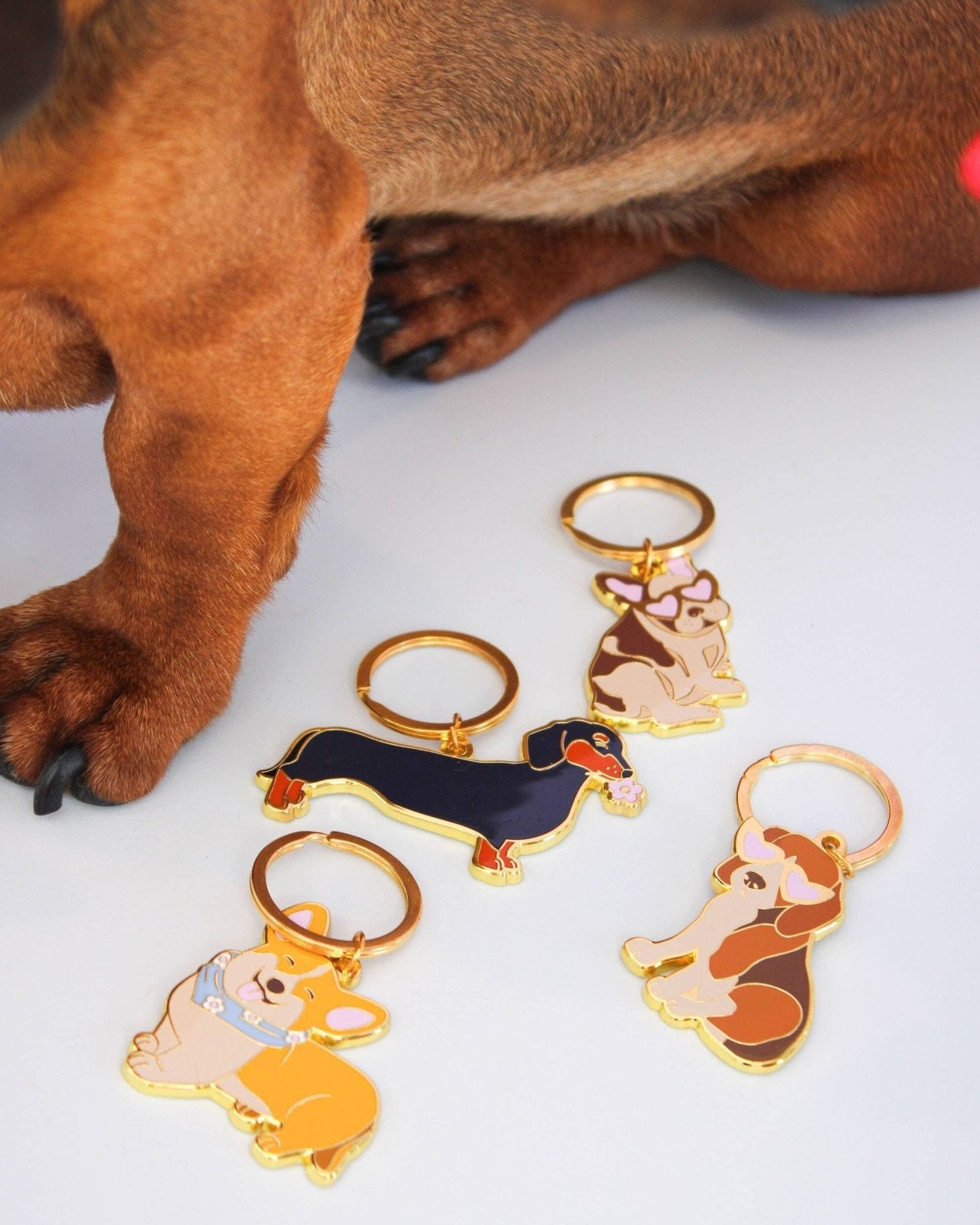 MALICIEUSE - CORGI Schlüsselanhänger - ROSA ECK