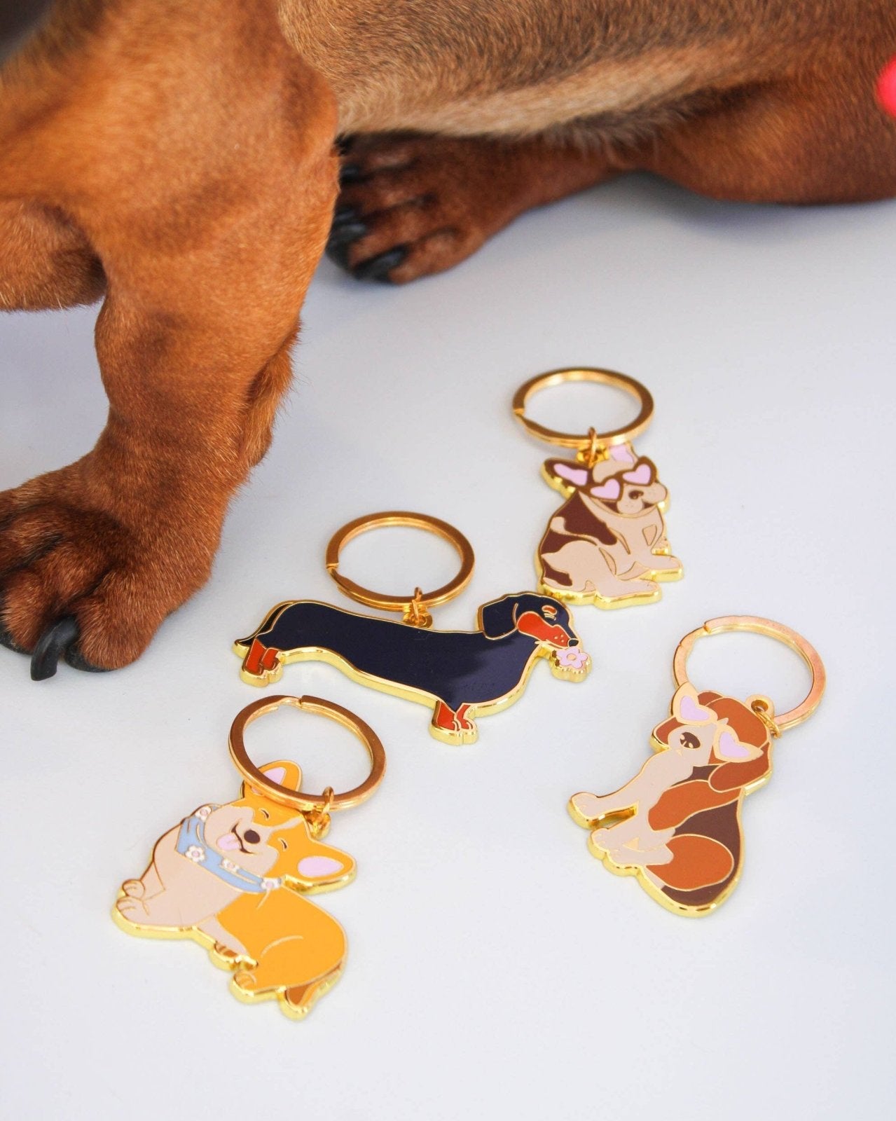 MALICIEUSE - DACKEL Schlüsselanhänger - ROSA ECK