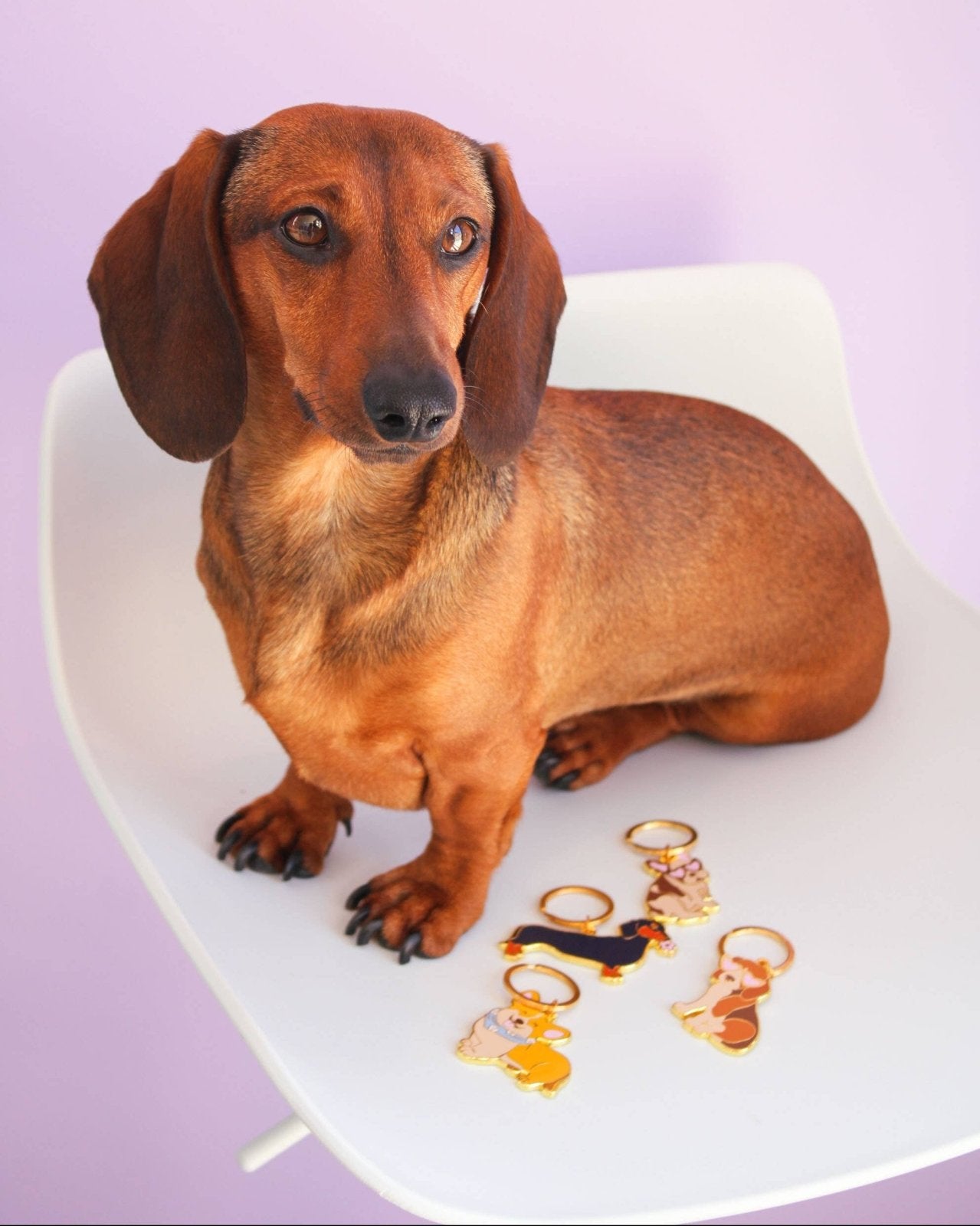 MALICIEUSE - DACKEL Schlüsselanhänger - ROSA ECK