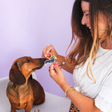 MALICIEUSE - DACKEL Schlüsselanhänger - ROSA ECK