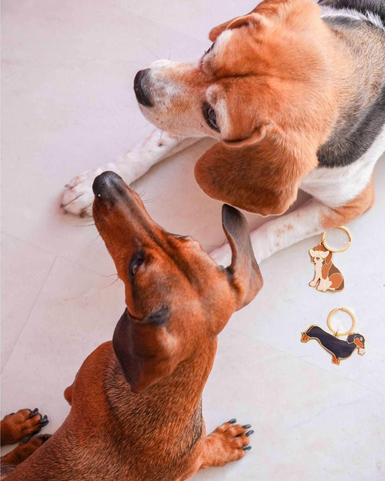 MALICIEUSE - DACKEL Schlüsselanhänger - ROSA ECK