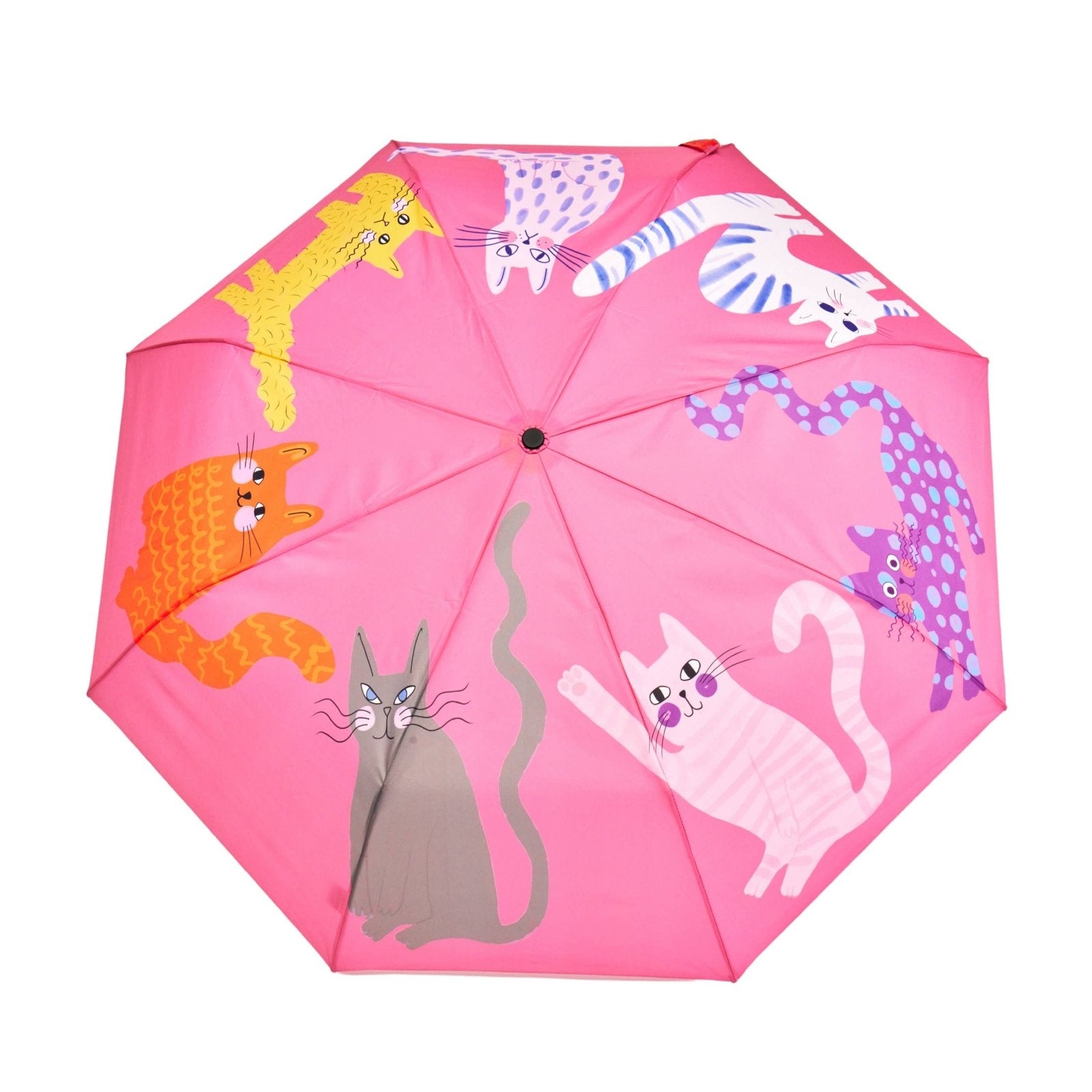 Original Duckhead - Regenschirm mit Entenkopf • Fuchsia Arty Cats - Regenschirm - ROSA ECK