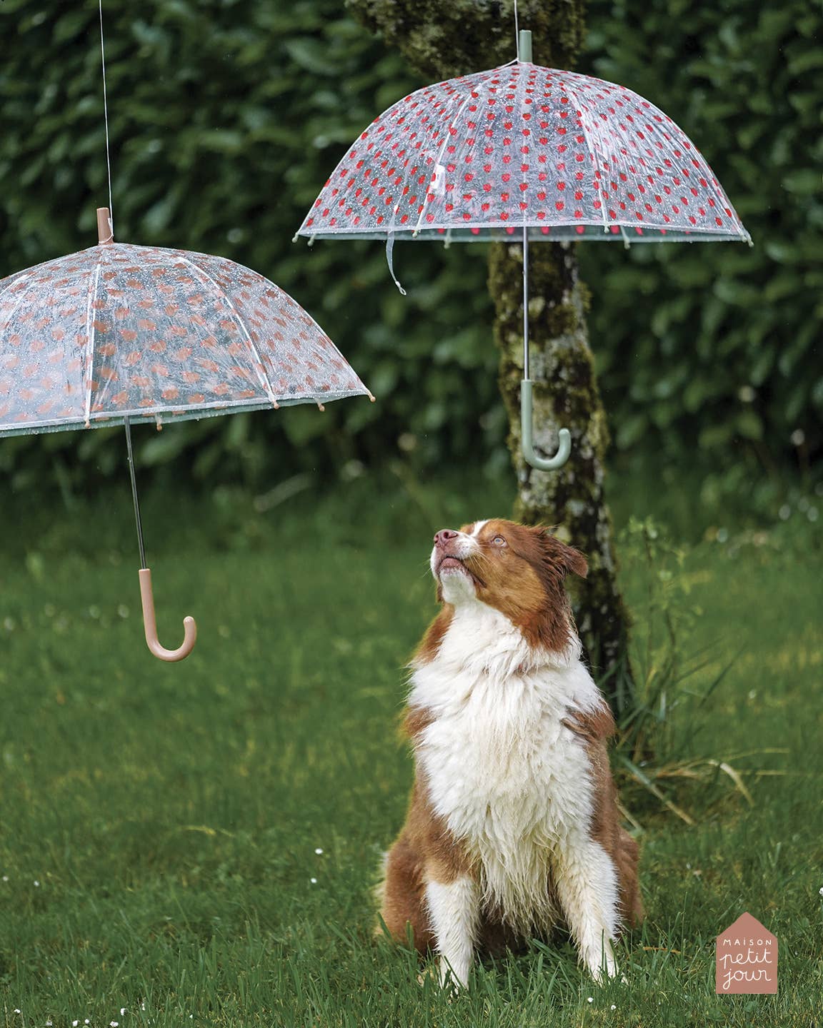 Petit Jour Paris - Kinder-Regenschirm • Erdbeeren - ROSA ECK