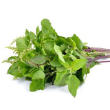 Piccolo Seeds - BASIL Holy Green Saatgut für Basilikum - Saatgut - ROSA ECK Concept Store