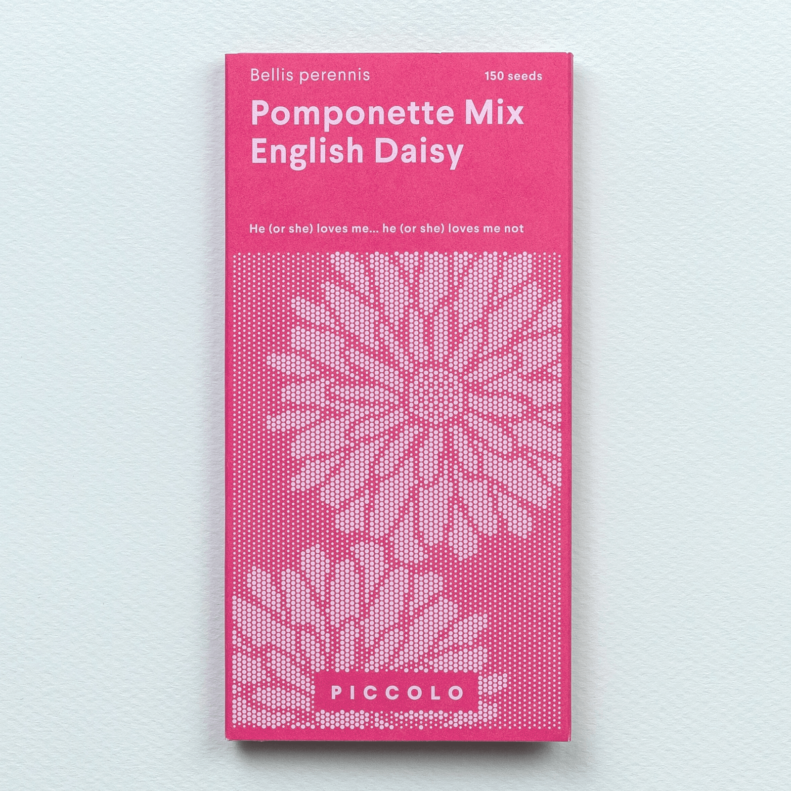 Piccolo Seeds - Blumensamen • English Daisy Pomponette Mix - ROSA ECK