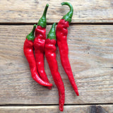 Piccolo Seeds - Saatgut für Chili • Hot Pepper Cayenne Long Slim - ROSA ECK