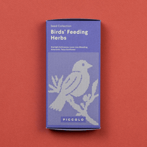 Piccolo Seeds - Saatgut - Set für Vogelfutterpflanzen • Birds’ feeding herbs - ROSA ECK