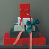 Rico Design - Webband Duo • Streifen Rot/Weiß - Webband - ROSA ECK