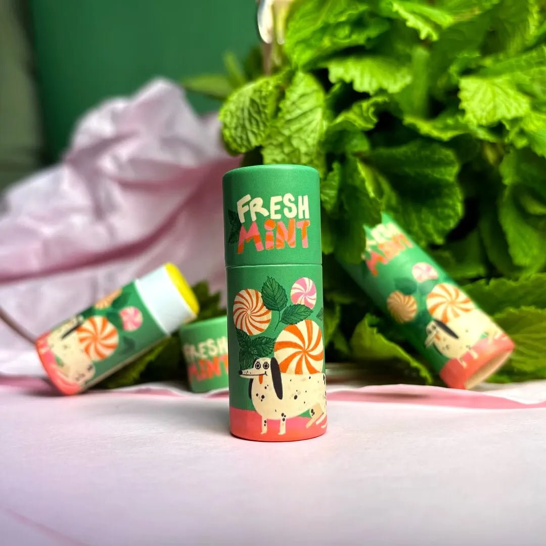Slinga Illustration - Bio - Lippenbalsam • Fresh Mint - Lippenbalsam - ROSA ECK