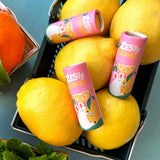 Slinga Illustration - Bio - Lippenbalsam • Zesty Lemon - Lippenbalsam - ROSA ECK