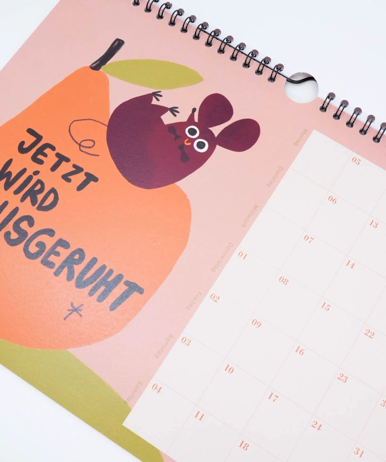 Slinga Illustration - Der Faule Kalender (2026) - Kalender - ROSA ECK Concept Store