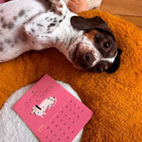 Slinga Illustration - Der Liebe Kleine Hunde Kalender (2026) - Kalender - ROSA ECK Concept Store