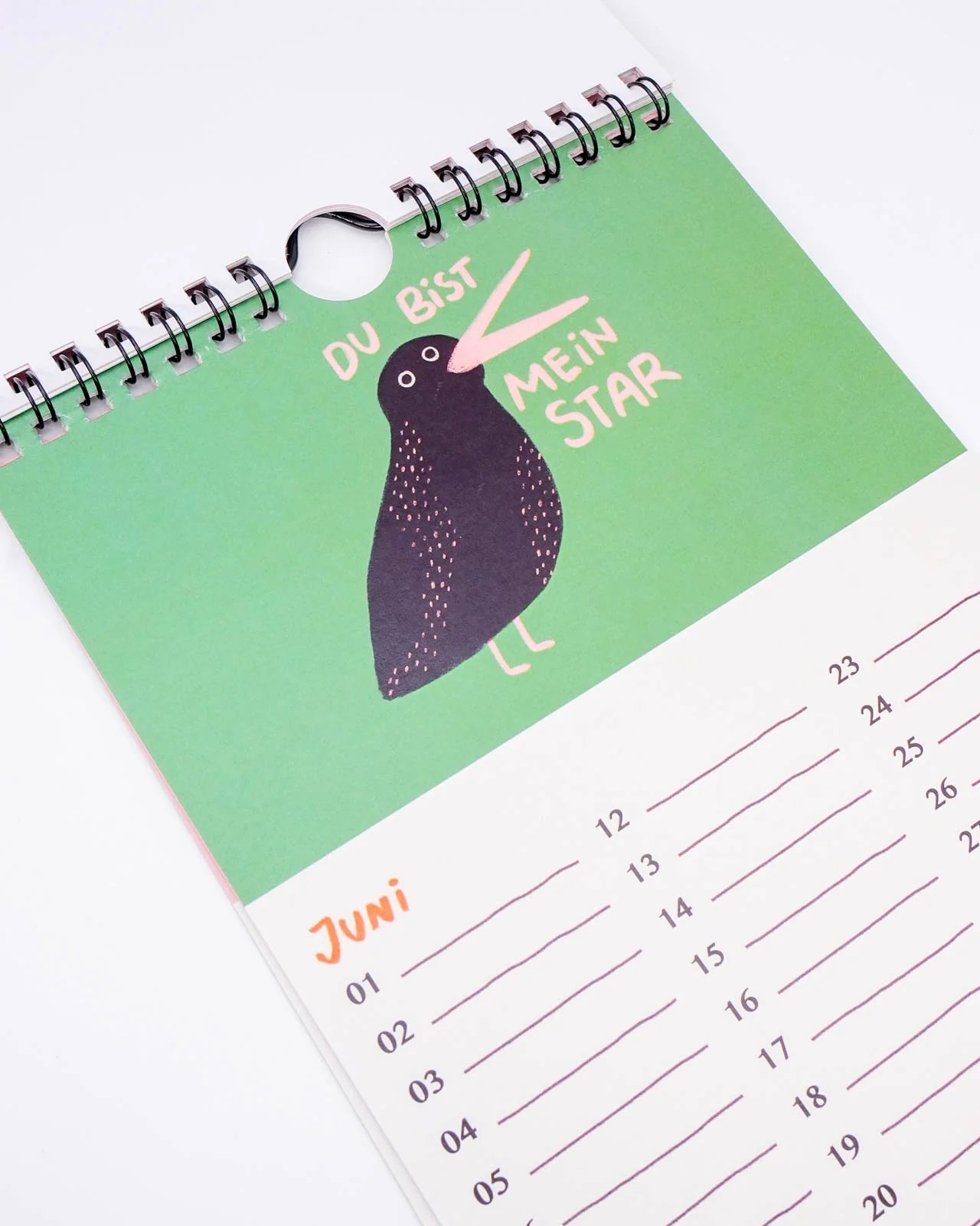 Slinga Illustration - Gans Lieber Vogelkalender - Kalender - ROSA ECK Concept Store