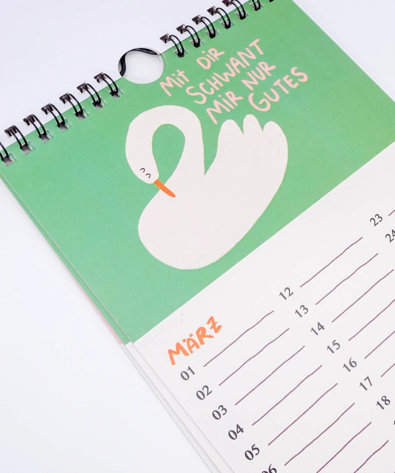 Slinga Illustration - Gans Lieber Vogelkalender - Kalender - ROSA ECK Concept Store