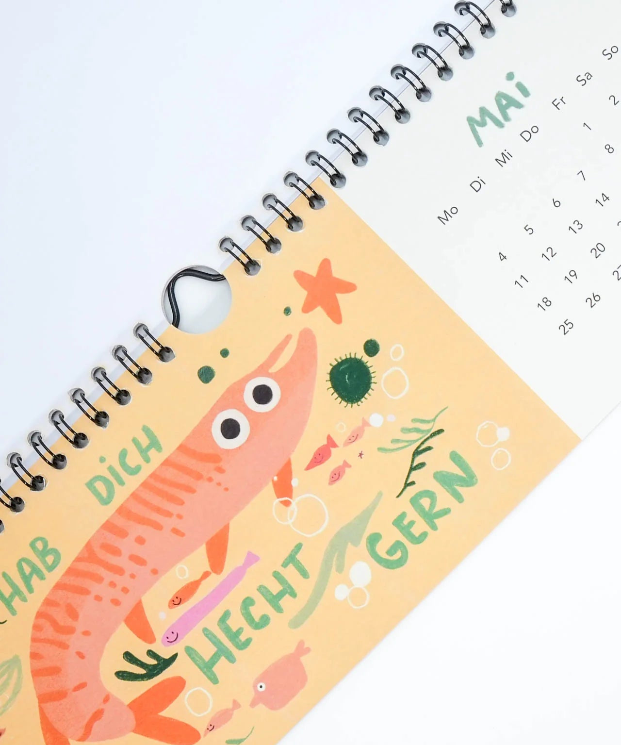 Slinga Illustration - GraFischer Geburtstagskalender (2026) - Kalender - ROSA ECK Concept Store
