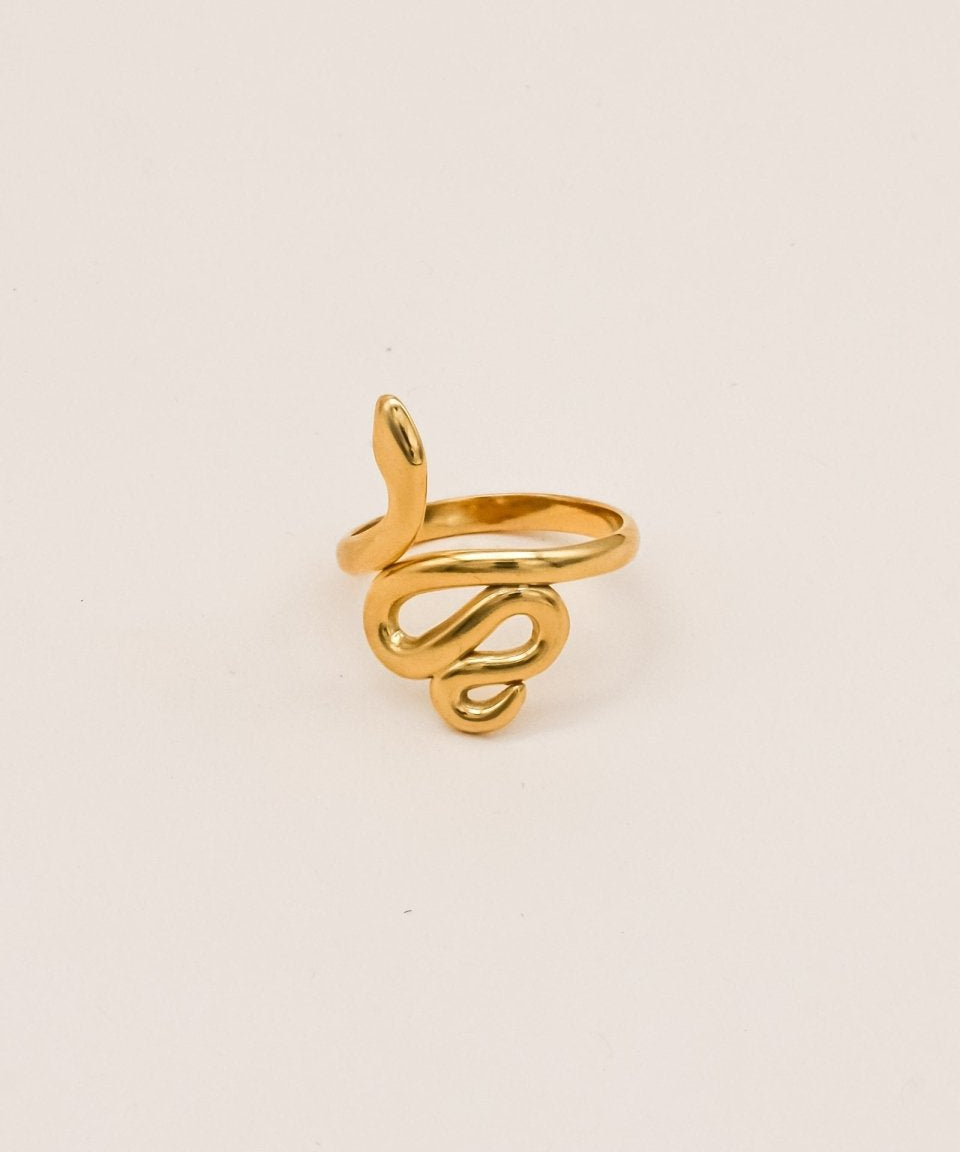 Sonstige SNAKE Ring 57