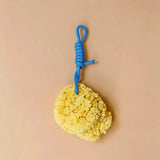 Mediterraner Naturschwamm • Blue