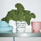 yahya studio - LOVE YOURSELF LIKE YOU LOVE BEYONCÉ Becher mit Spruch - Kaffee - und Teetasse - ROSA ECK